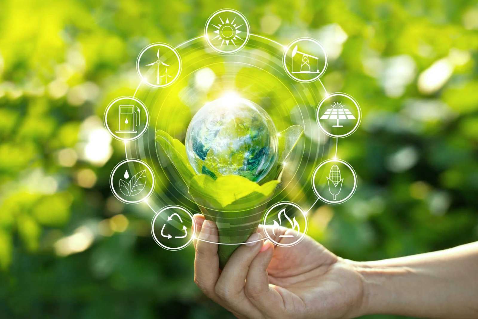 Ferrero Group’s 14th Sustainability Report highlights significant progress across four key pillars